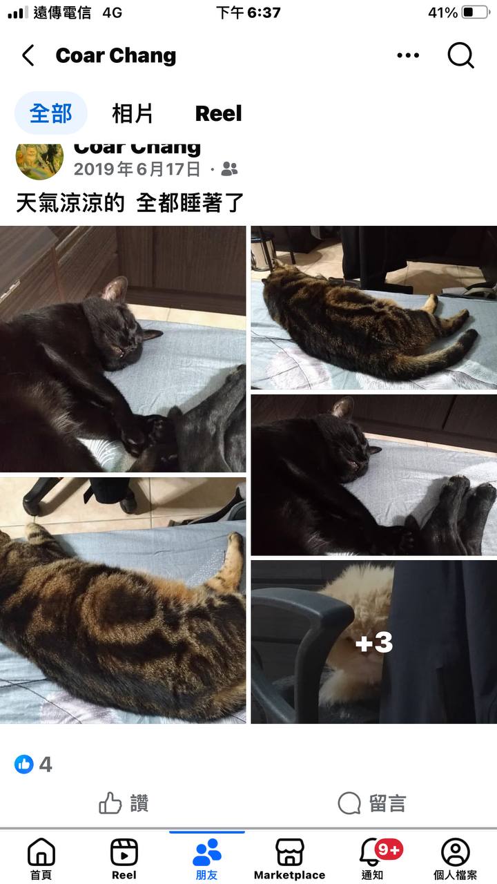 星塵