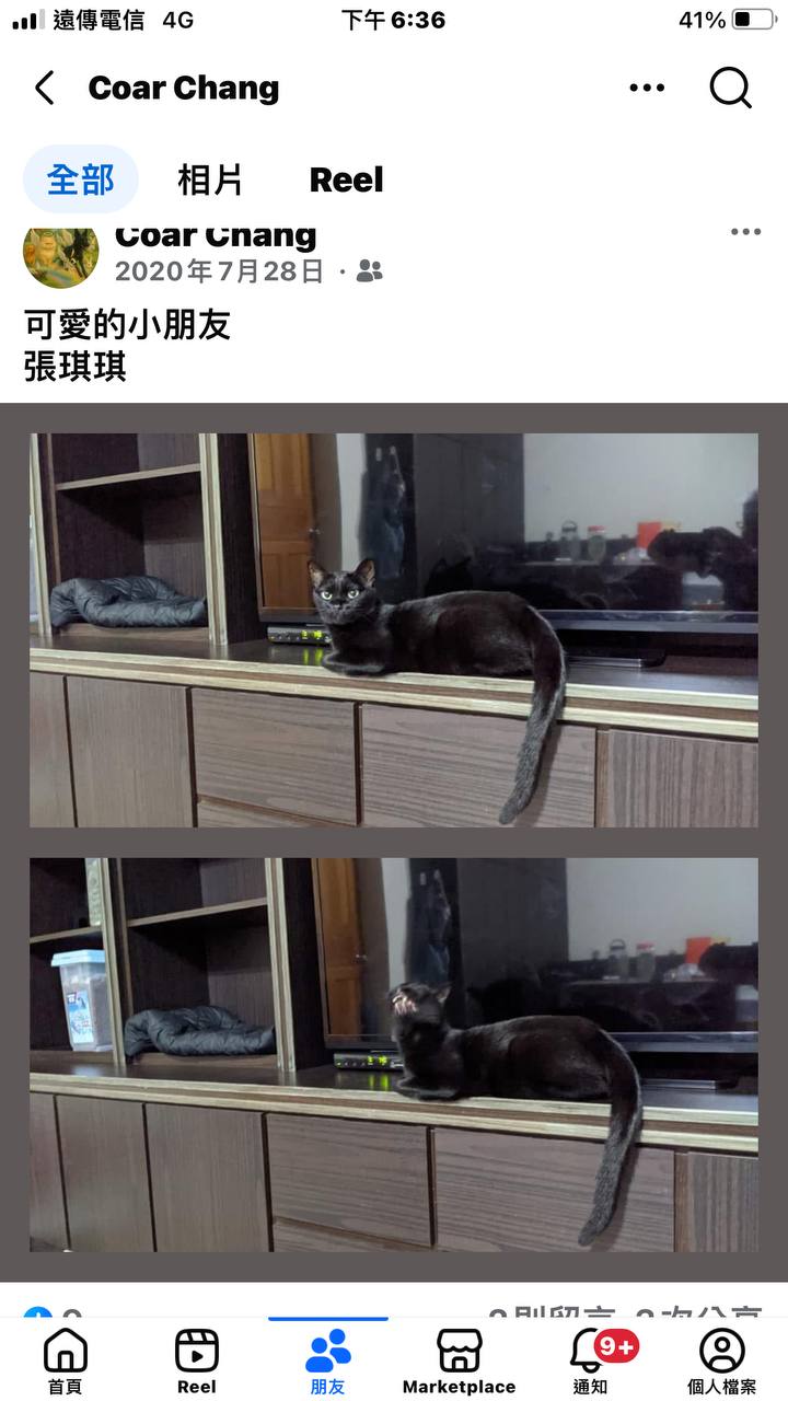 圓仔